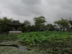 -张亮麻辣烫(无锡茂业天地店)