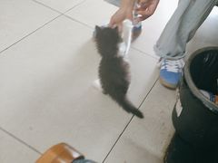 -新疆喀什噶尔餐厅(普利街店)