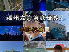 -左海海底世界