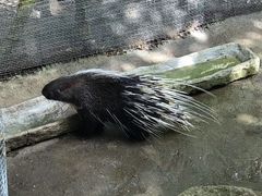 -呀诺达热带雨林