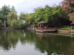 -东莞市可园博物馆