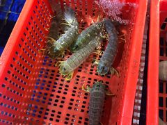 -79号渔船海鲜饭店(华强北店)