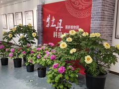 -国家植物园南园