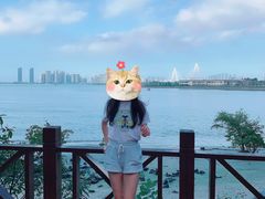 -万绿园