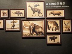 -大庆市博物馆