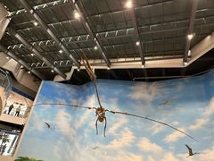 -辽宁古生物博物馆