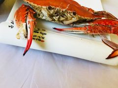 -宾朋海鲜特色美食餐厅·纯手工鲅鱼水饺(兴海路店)