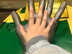 -信不信由你博物馆