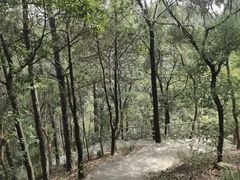 -滴水岩森林公园