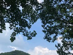 -天目湖松岭竹海漂流