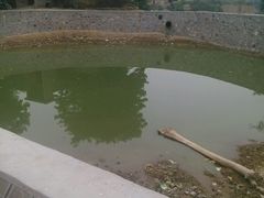 android_upload_pic-过锅瘾三汁焖锅(东星时代广场店)