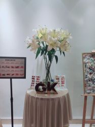 -GK-ARCADIA美睫美甲