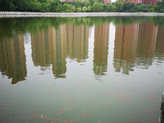 -迎泽公园