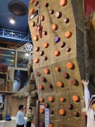 -卡通尼·Safari非洲探索乐园·生日会(金桥国际商业广场店)