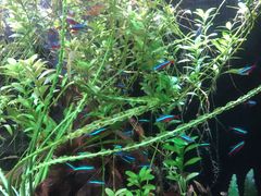 -上海海洋水族馆