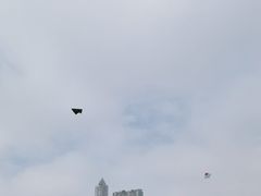 -二沙岛艺术公园