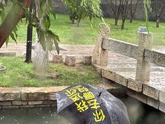 -春风习习