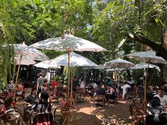 -Fern Forest Cafe