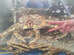 -蟹之国·精品蟹料理(极地店)