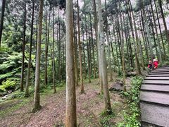 -雁荡山风景名胜区