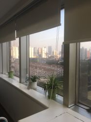 -博乐达水杨酸祛痘皮肤管理中心