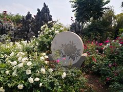 -人民公园(罗湖区)