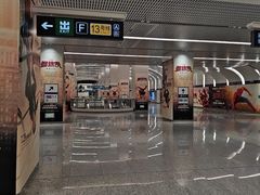 -望京西(地铁站)