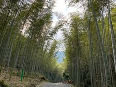 -山菜馆(竹海公园店)