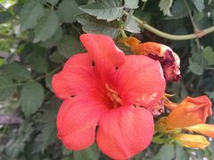 -西安交大南洋大酒店(交通大学青龙寺店)