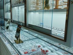 -翰佐蔡司小乐圆·依视路星趣控·暴龙眼镜折扣店