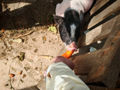 -祥源·阜阳生态乐园