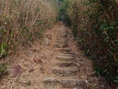 -胜记士多小食店