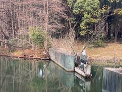 -昆山城市生态森林公园