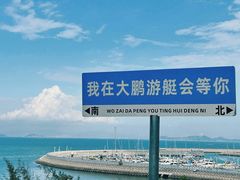 -杨梅坑