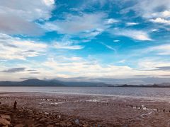 -深圳湾公园(南山区)