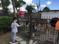 -上海滴水湖皇冠假日酒店