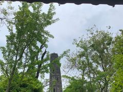 -上海佘山国家森林公园天马山园