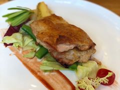 -more than meow吴止猫主题餐厅(承德 中船汇店)