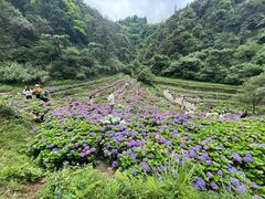 -鼓岭旅游度假区