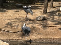 -鄂尔多斯野生动物园