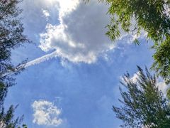 -晓港公园