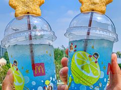 -麦当劳(塔园路店)