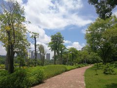 -广西壮族自治区药用植物园