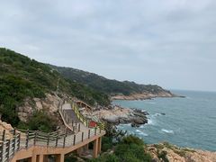 -广东惠东海龟国家级自然保护区