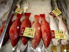 -胖大嫂渔家排档(半边山店)