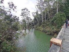 -水濂山森林公园