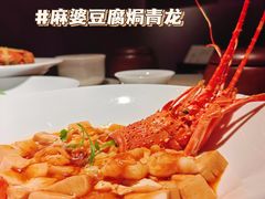 -觀芷隐轩