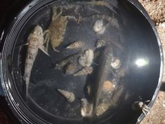 -碧桂园十里银滩