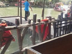 -长鹿旅游休博园