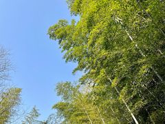 -天目湖涵田度假村